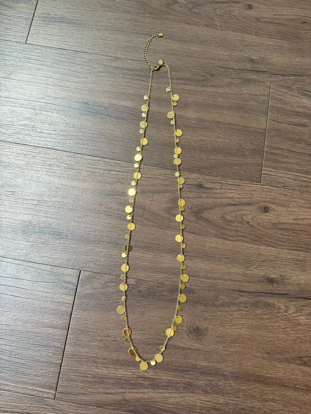 Lia Sophia Panorama Reflection Collection Necklace Gold Tone Disc Long Necklace